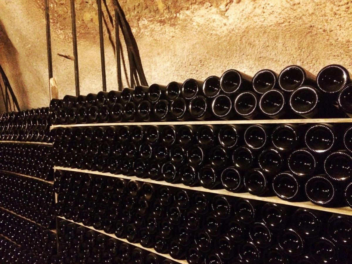 Apartamento Ribera Del Duero Reserva Tubilla del Lago Kültér fotó