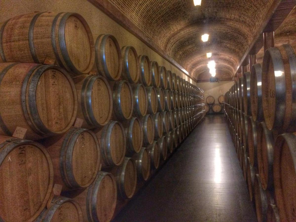 Apartamento Ribera Del Duero Reserva Tubilla del Lago Kültér fotó
